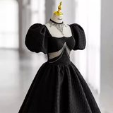 Princess Ball Gown Black Lace Long Prom Dress HZ1022