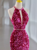 Modest Mermaid Long Sleeveless Sequin Prom Dresses HZ1022