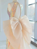 Sparkle A line Scoop Neckline Sequin Pink Long Prom Dress HZ1022