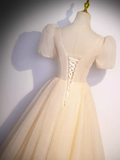 Pretty A line V Neckline Short Sleeves Long Evening Party Dress Prom Dresses HZ1022