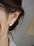 Frosted earrings women's sterling silver niche design high-end silver earrings temperament hypoallergenic earrings HZ1022