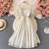 Cute Lace Short A Line Dress Fashion Dress HZ1022