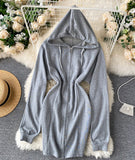 Cute Hoodie Casual Dress HZ1022