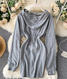 Cute Hoodie Casual Dress HZ1022