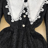 Black A-line Long Sleeve Dress, Black Fashion Dress HZ1022