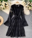 Cute Lace Long Sleeve Dress Lace Dress HZ1022