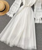 Cute Lace Long Dress Fashion Dress HZ1022
