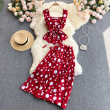 Cute Regular Polka Dot Dress Two Pieces Dress HZ1022