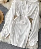 Cute Hoodie Casual Dress HZ1022